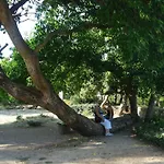 Alma