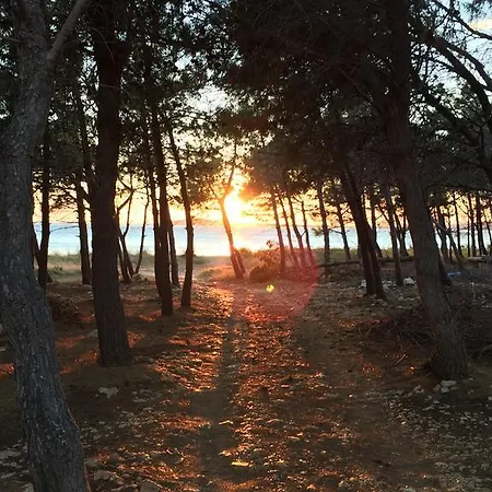 Apartman Alma