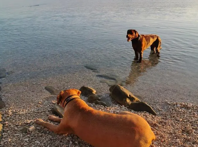 Alma Appartamento Pag Town