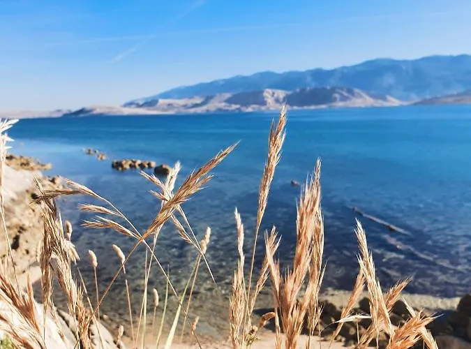 Appartamento Alma Pag Town