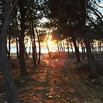 Apartman Alma