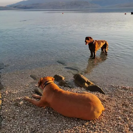 Alma Apartamento Pag Town