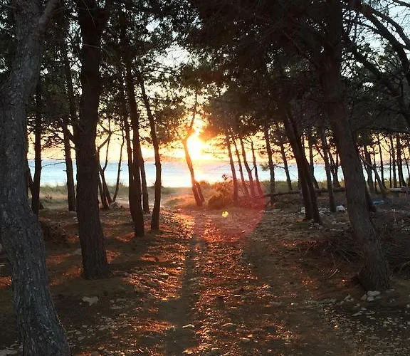 Διαμέρισμα Alma